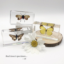 �挍���x��֬�˱��@��֩���з���ϐ�Ӽ��x������������֬���x