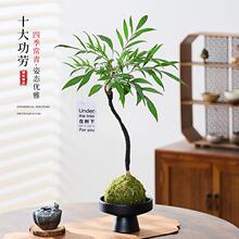 ̦�\���҃��������Կ͏d�Ϙ�ֲ���^�~�Gֲ�W�t�k�����辰