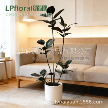 �羳���Q؛Դ�ڽ����Ř����Gֲ�й��L�҃�ܛ�b�٘�����Կ͏d