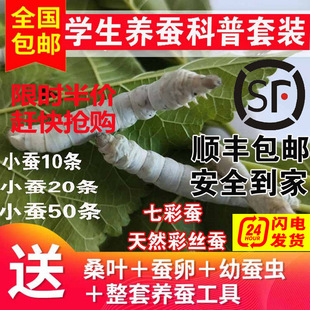 �W���B�Q�������b�Q����1234�g���w��z�Q�����߲��Q���x���rɣ�~