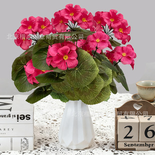 ���l�羳���R�d���溣�Ļ��ٻ��Ҿӿ͏d���ÿ��z�����⻨�@�b�