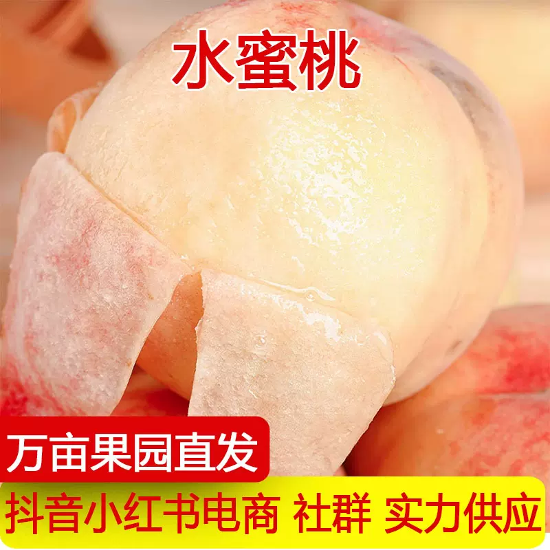 产地直发新鲜水果现摘现发春雪水蜜桃黄金毛桃黄金蜜桃一件代发