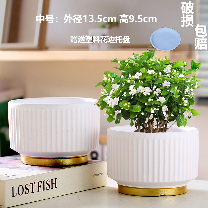 미디엄 화이트 매트 2개(트레이 포함)