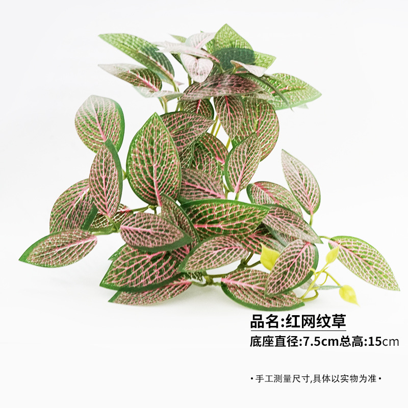 붉은 잔디