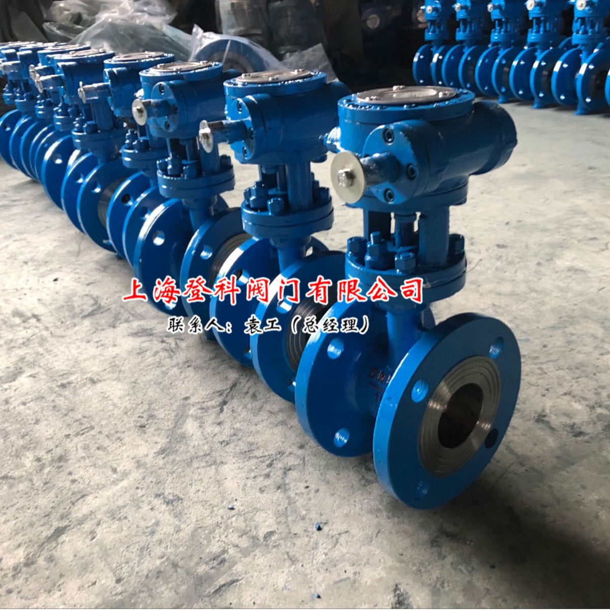 上海阀门中压D341H-25C DN150 手动  涡轮蜗杆法兰铸钢偏心蝶阀