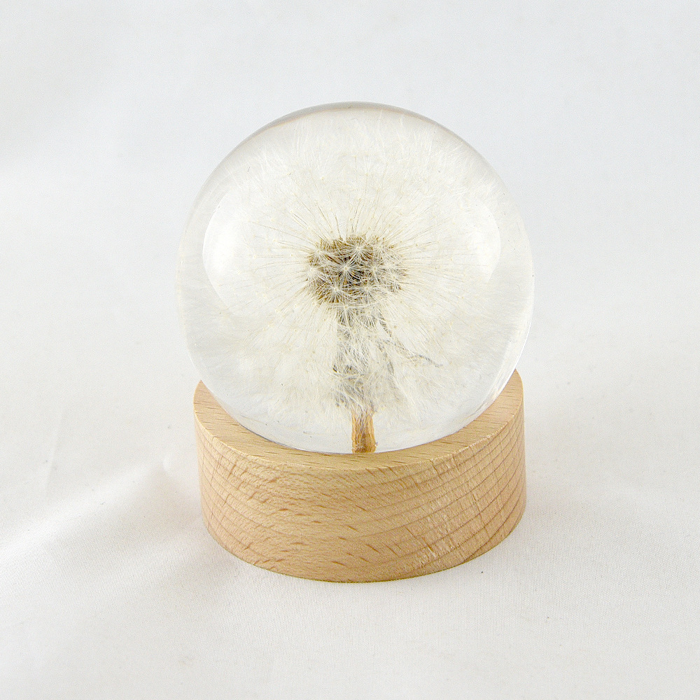 [Airplane Box] 6.0 round ball with wooden base Dandelion