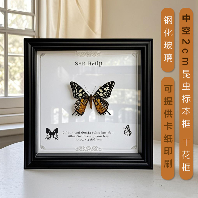 Butterfly Specimen Photo Frame Real Butterfly Specimen Frame Insect Specimen Handmade Div Hollow 2cm Table Real Glass Display