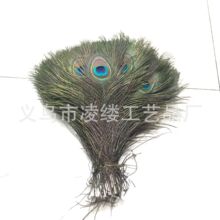 ���l25-30cm��ȸë �F؛������ȸ��ë �������b�o�ϲ廨ƿ�Ʒ