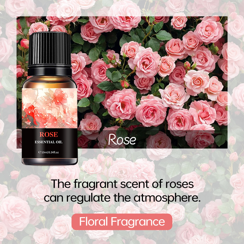 Aromatherapie-Öl, langanhaltender Duft, frisch, wasserlöslich, Black Ice Aromatherapie-Maschine, ätherisches Öl_voghion.com