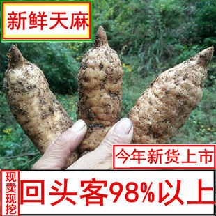 �r�������r���鶬��Ұ����������������ɽ�F�����������