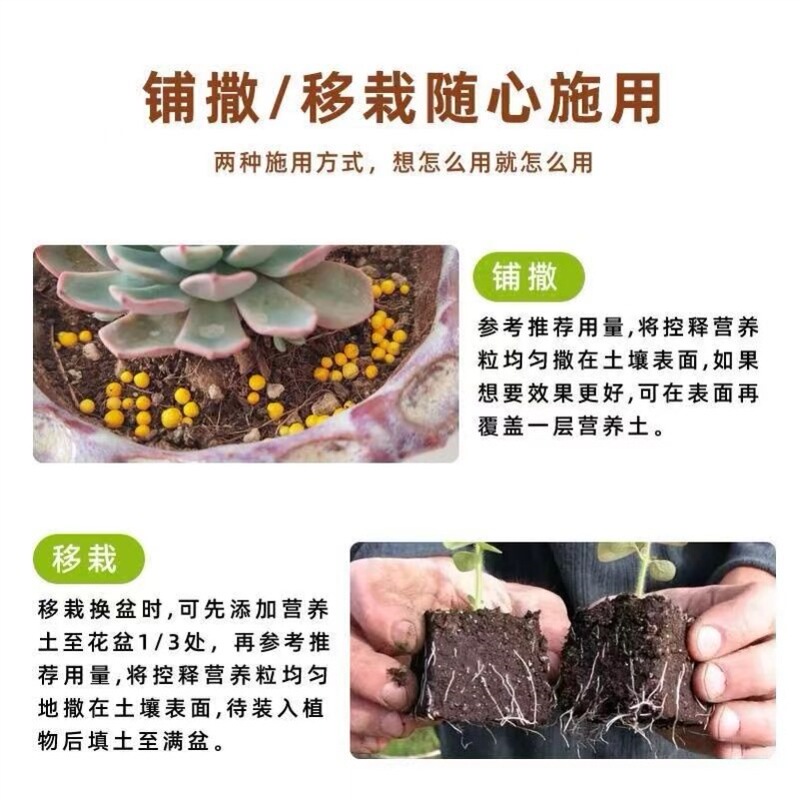 肉肥料 特殊肥料 多肉植物緩効性肥料 ポット肥育・着色多肉植物養液 家庭用多肉植物特殊肥料|undefined