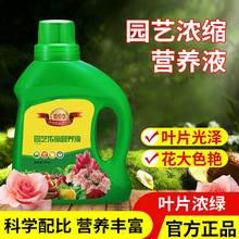 植物浓缩营养液家用种植绿萝多肉花卉发财树富贵竹水培营养肥料