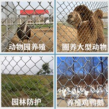 镀锌六角网DIY工艺家居装饰六边形铁丝网鸡网工艺项目六角网定制