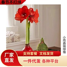 ��피tϞ���ذ�N���M��Ϟ��o��ˮ���B�o���˺��B������Y��