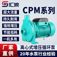 CPM130家用离心水泵冷热水太阳空气能地暖管道循环泵静音增压220V