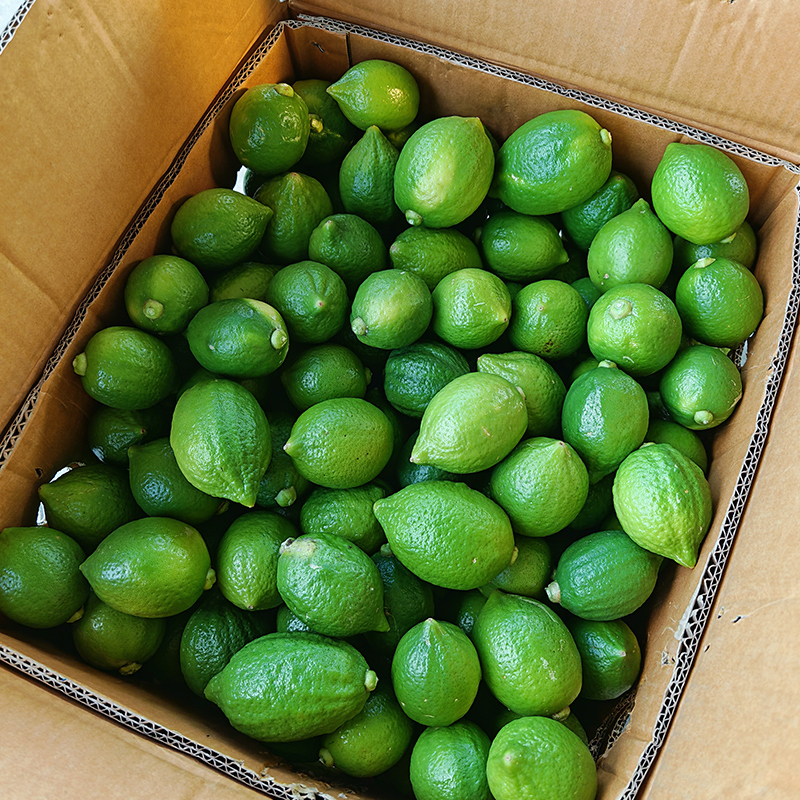 Fresh Lemon from Guangdong, Seedless, for Use in Milk Tea Shops, Commercial-Grade Lime, First-Grade Fruit, Locally Fresh and Freshly Picked, Sour