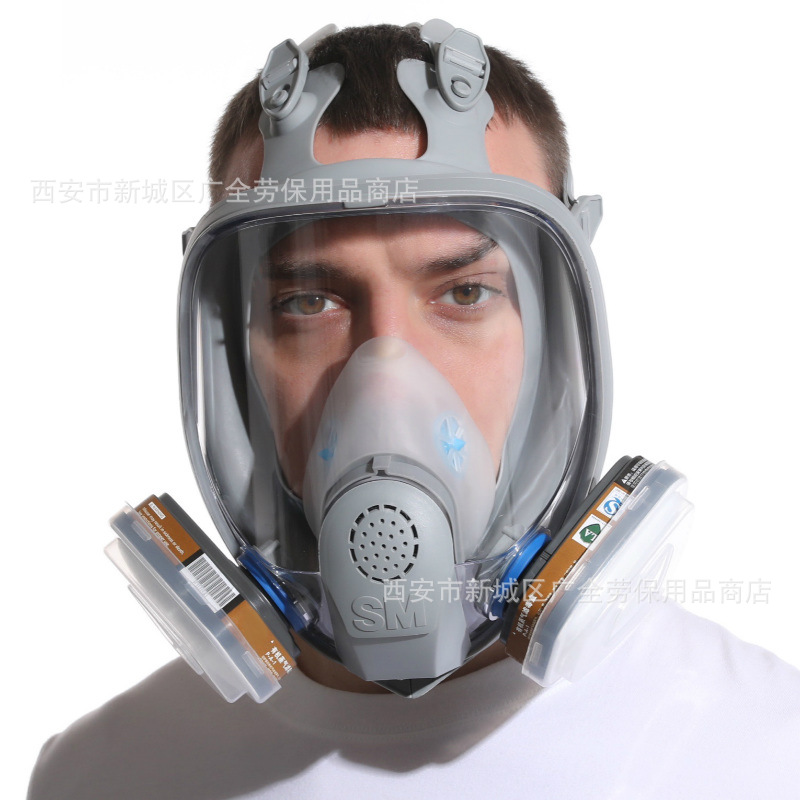 双球SM3090B型大视野防毒面具 喷漆化工装修打农药防毒全面罩面具