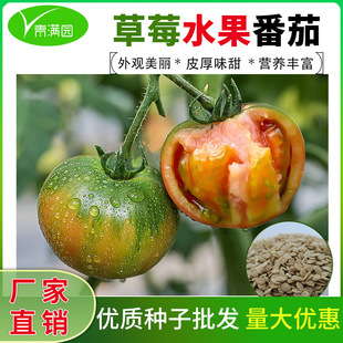 ��ݮ���ѷN��ˮ�������������֭�FƤ�����ļ��̨�ˈ@С����