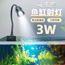 led��׃ɫ�����r�����~����������~���쾰ˮ�ݟ��~�ן�ԭ���ן�