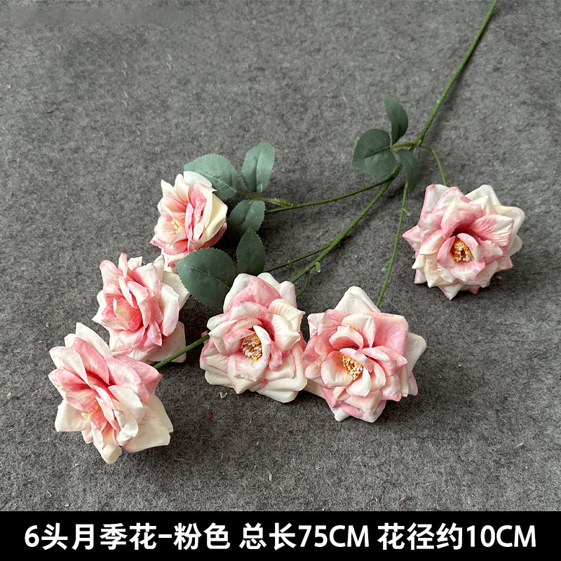장미꽃 6개
