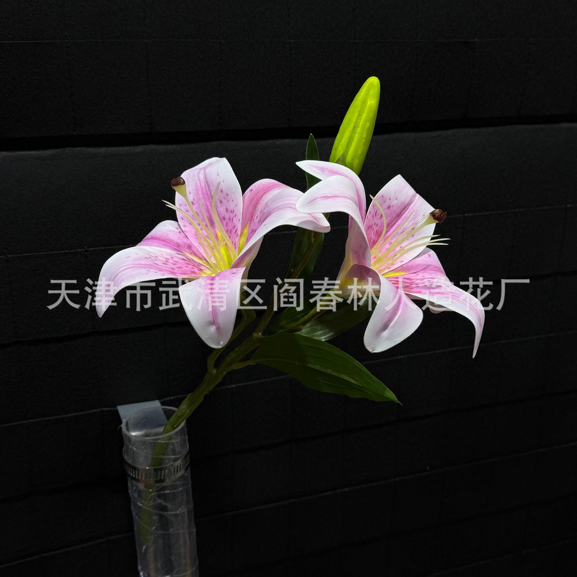보라