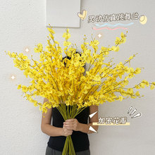 �ֹ��S��5�������m��c�廨�Ҿ��bٻ����컨���͏d�����[����