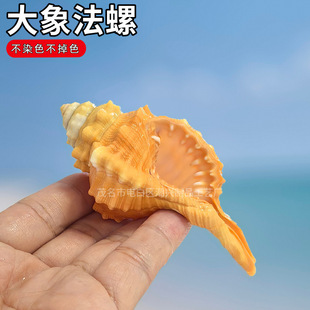 ����ؐ�����������~���쾰�Ĕz����ɺ�������ɺ���Ӽ���Ȼ��ؐ