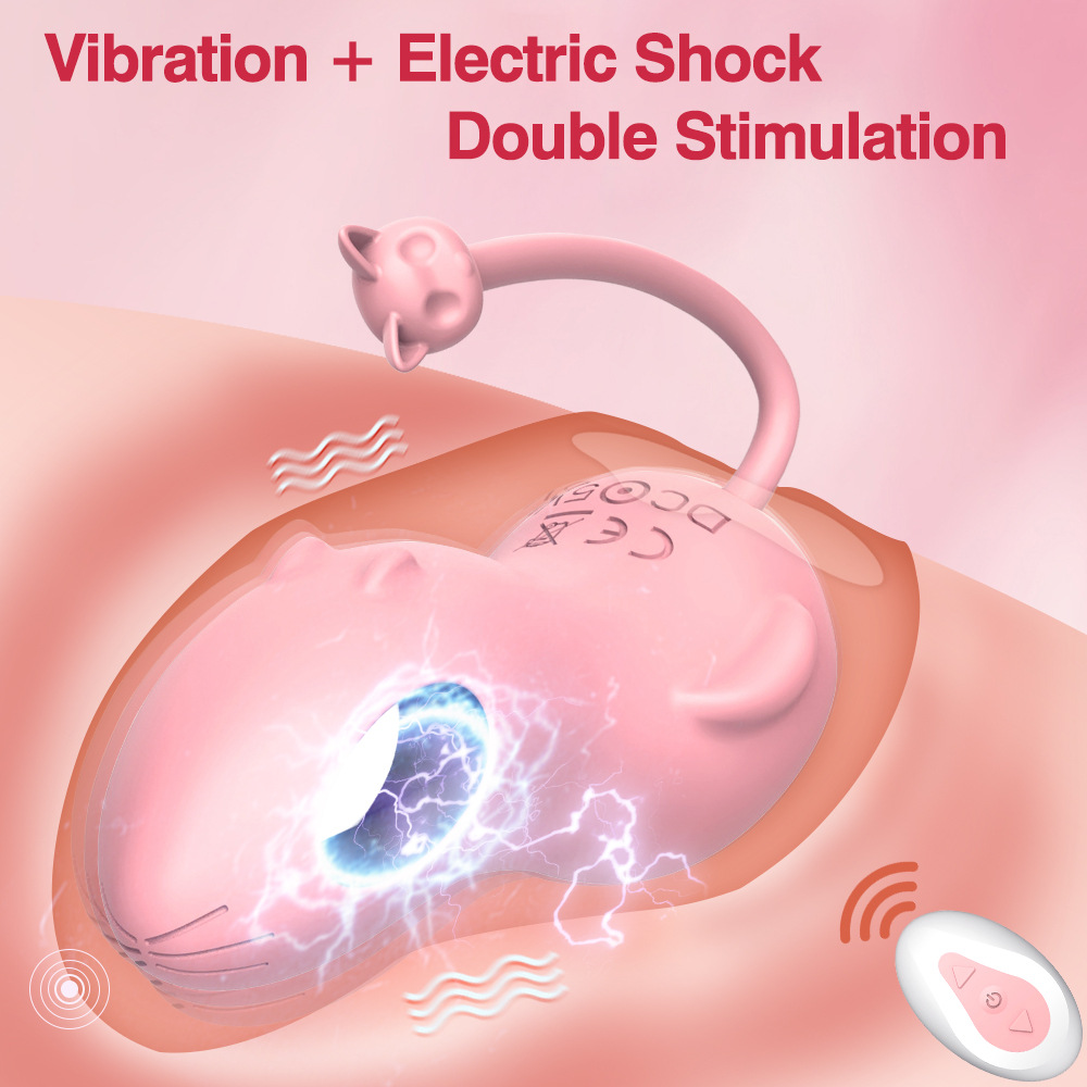 Wireless Remote Control Vibrator For Women With Shock Functions_voghion.com