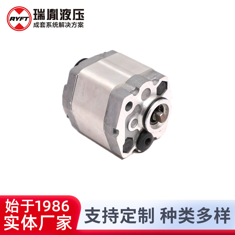 瑞胤 1PF2.1L**B02 液压油泵 动力单元油泵