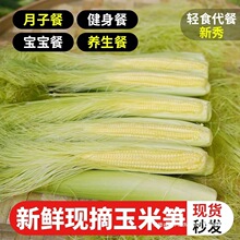 ���׹S���r�߲�ˮ�������׎�Ƥ�������С����о�냺�����oʳ���