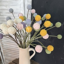 �S��ֱ�N�����S����ins���W�L�Ҿ��b[���S����������������