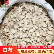 批发中药材白芍片 产地一手货源各种规格新货白芍薄片药粉白芍