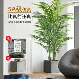 仿真绿植;仿真花;仿真蕨类