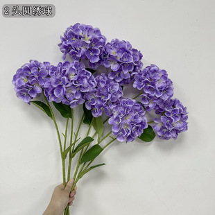 ��c����ӆ�����b����Ɍ���ˇ���������T����֧�Ҿ��bٻ�
