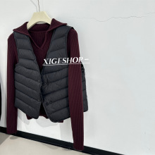 ���Z�q�p��V�I�R�����B���̿ů��đ��q���R�A����2025����