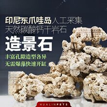 发片状爪哇干岩石海缸造景石代替海水活石开采死石培菌石免垒德株