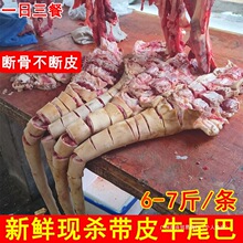 6�����r�F����Ƥţβ�����l�r��ɢ�B�Sţβ�ǰ����t��ţβʳ��