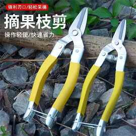 不锈钢果剪摘果剪采柑桔剪蔬果剪中号果剪刀果子剪高效采摘树枝