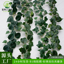 ȼٗl~}Q~B1ȼ픾G}~F؛