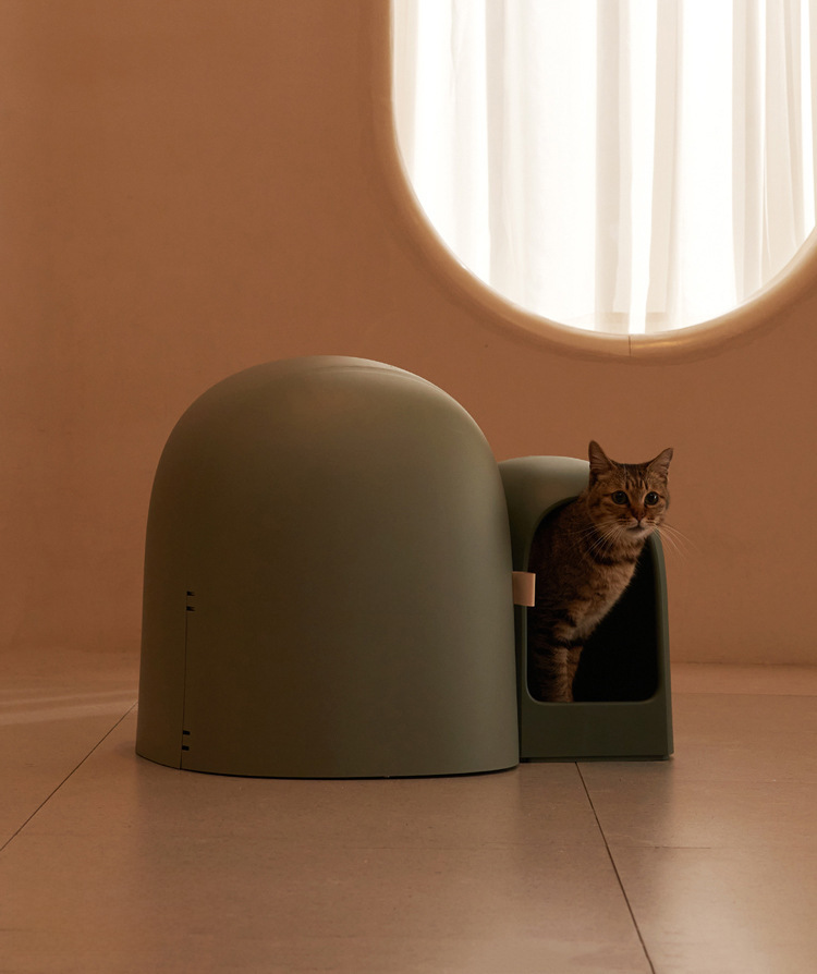 Cat Litter Box Interior