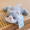 Gray kitten