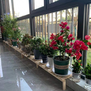 ̨���̨�ӌ���̨�Ғ취������̨�滨�ܸߵ���ػ��@�h����ľ