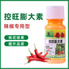 Pepper Expansin Pepper Stretch Stretch Leavening agent Chili peppers Cycocel Increase Regulator
