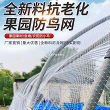 ���B�W�����������������������@���B�þW���q�Bֳ�W�~����W