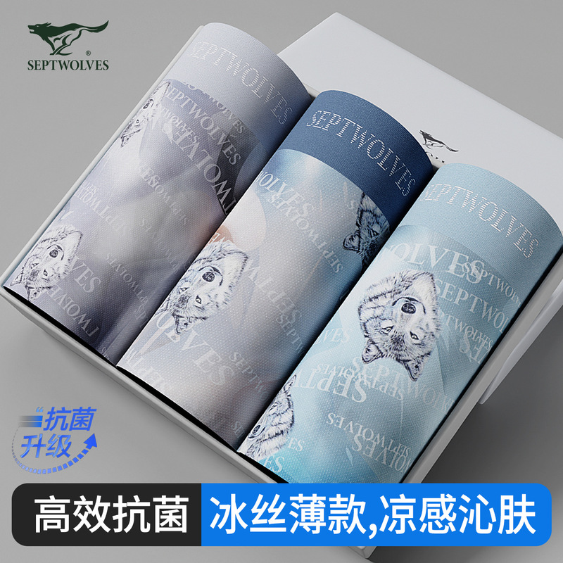 Septwolves Men's Boxer Briefs Summer Thin Seamless Fashion Nylon Antibacterial Mesh Breathable Boxer Shorts