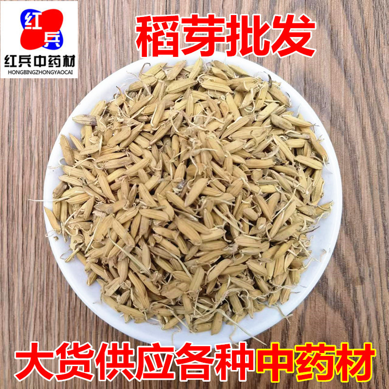 Dried Rice Sprout Dao Ya Whole Sprouted Grain Raw Herb for Decoction and Tea overview