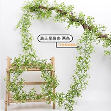 �b٘��ټٻ��M���ǿ͏d늾���¶�ڳ����ړ����������p�@