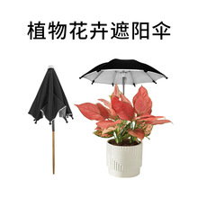 26cmֲ�ﻨ����ꖂ����ͥԺ�����������Է������s����ز��