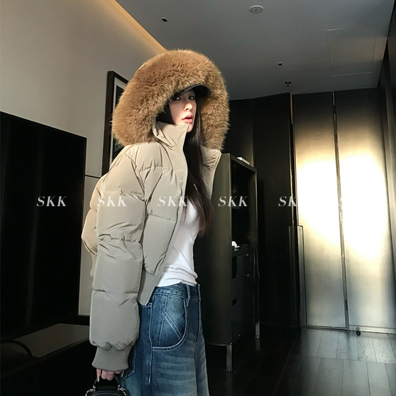 2025 invierno nuevo suelto delgado cuello con capuchón corto plumón chaqueta de algodón para mujeres cintura gruesa chaqueta de algodón
