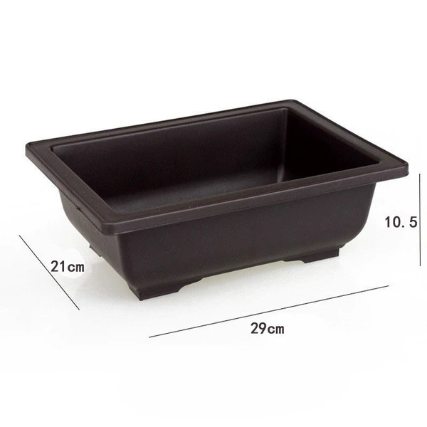 Rectangular, 29 rectangle